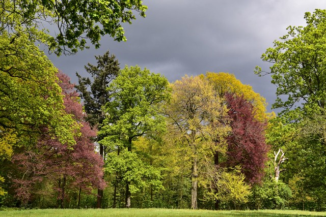 Autumn colors and dark clouds in spring