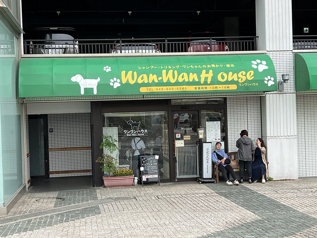 A Canine Friseur in Yokohama