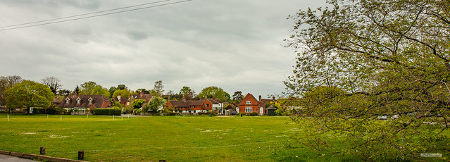 Cottages and extensive Cricket/Village Green, Shamley Green, Surrey, England.