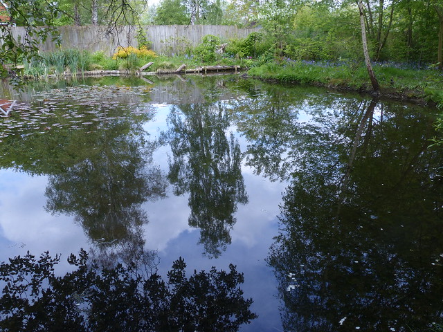 Woodland Gardens Pond