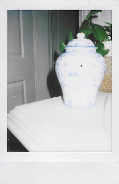 Blown Out Vase