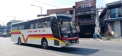 Victory Liner 7290 (2024) (04-27)