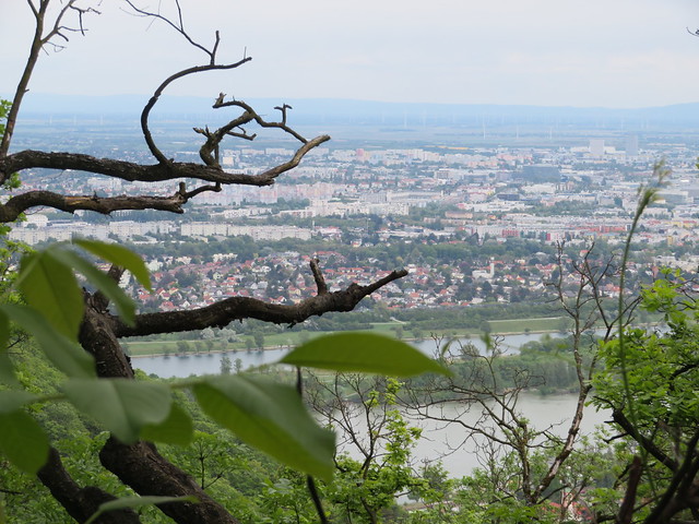 Austria - Vienna - Kahlenberg - Near Nussdorf - View over Vienna