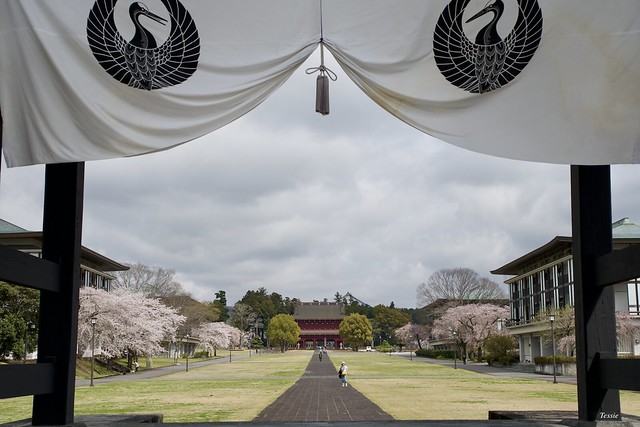 総本山 大石寺　Taiseiki-ji Temple