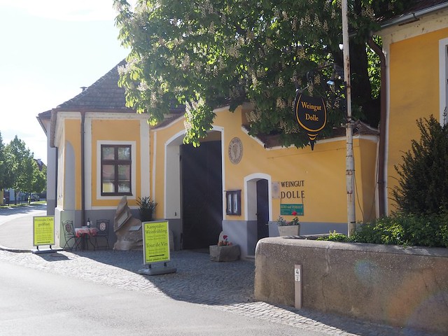 Weinfrühling beim Weingut Dolle in Strass im Strassertale, Kamptal, Niederösterreich