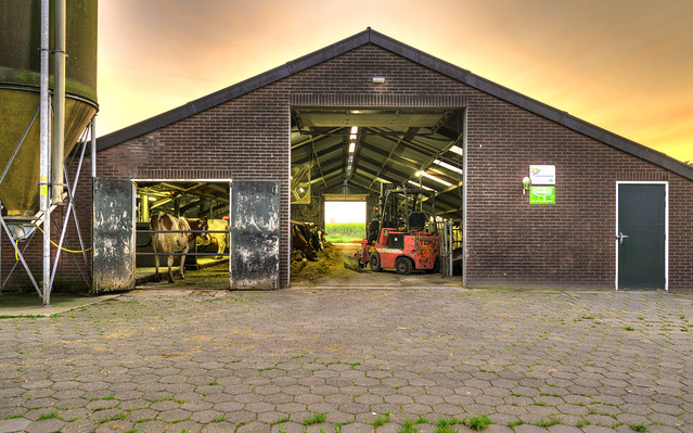 Old MacDonald had a farm. Het Laar, village of Aarle-Rixtel, The Netherlands.