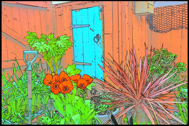 A Corner of my garden.. Photo Colour sketch