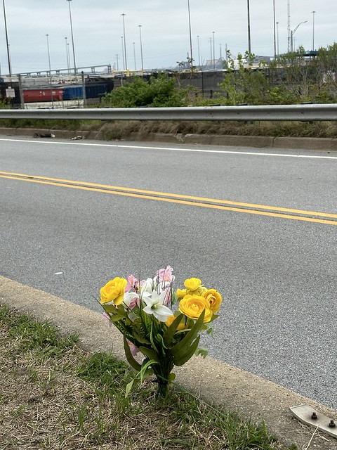 Flowers along the highway near the Key Bridge