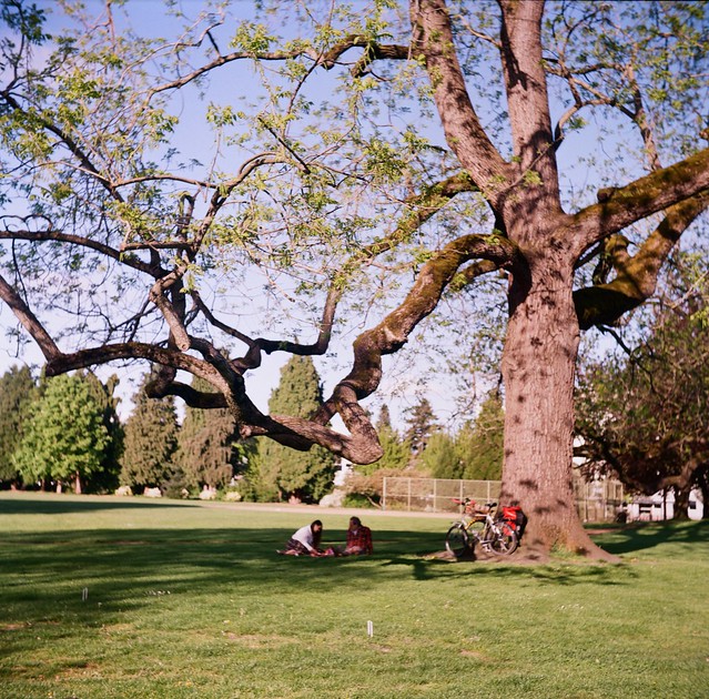 Portland Tweed Ride 2024, at Ovelook Park, 21 April 2024