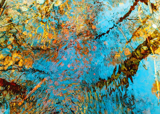An abstract photo of water surface in the forest