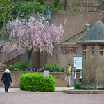 Spring In Station Square 