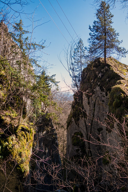 Gorge near Günsberg