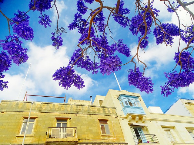 Birgu (Malta)