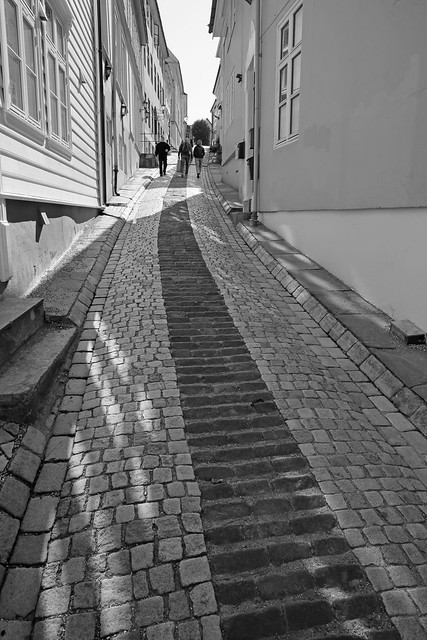 Bergen Alley Steps