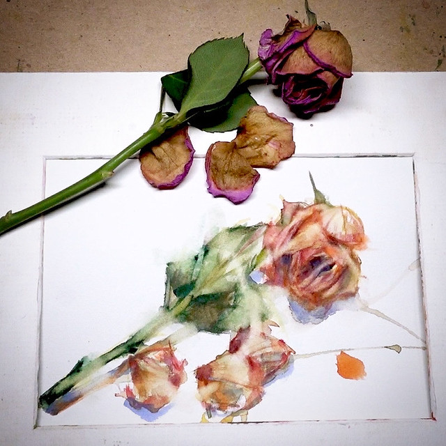 Day 3184. The process of daily rose painting for today.