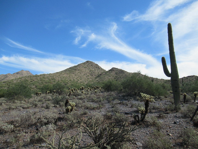 McDowell Sonoran Preserve, Scottsdale, Arizona