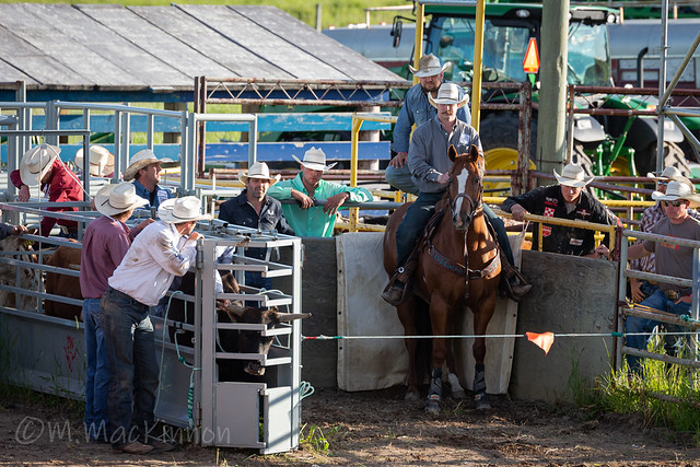 Airdrie Pro Rodeo 2019