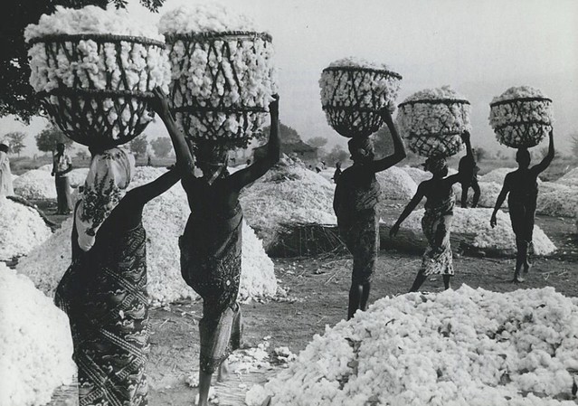 Miscellaneous 033 - Women Carrying Cotton in Cameroon - 1963