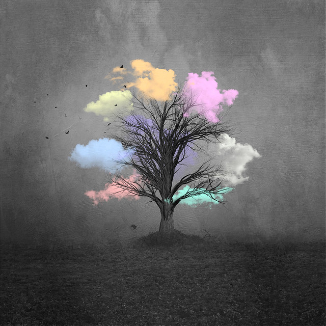 Pastel Clouds On Dark Tree