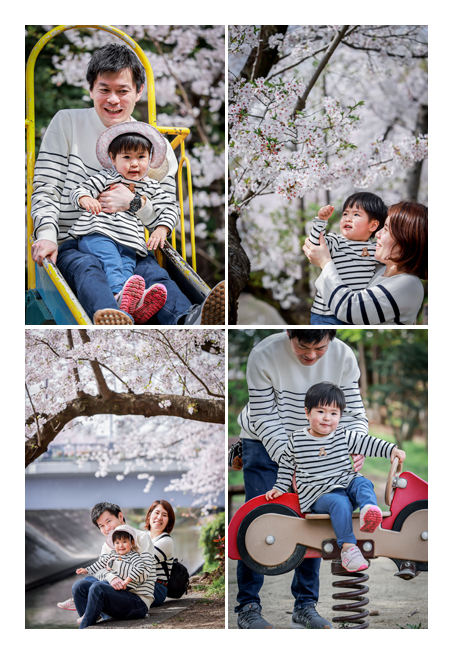 満開の桜！名古屋の山崎川で家族写真