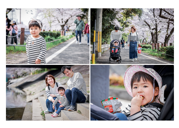 名古屋の山崎川で家族写真　桜が満開
