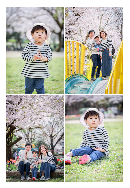桜咲く公園で家族写真のロケーション撮影