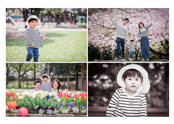 桜やチューリップに彩られた名古屋の公園でファミリーフォト