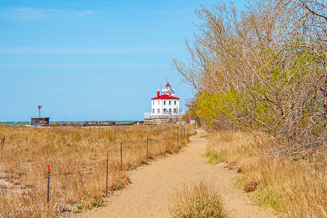 Spring at the Lighthouse
