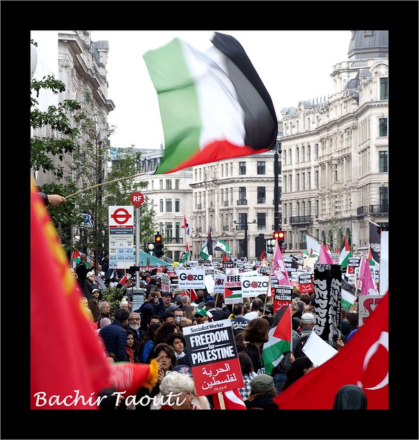 a- March for Palestine 'Ceasefire now'