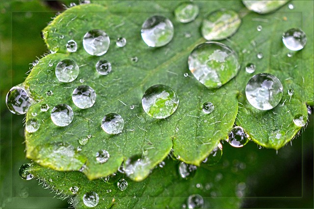 Wk 17 - Water Drops