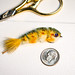 Micro Game Changer Brown Trout