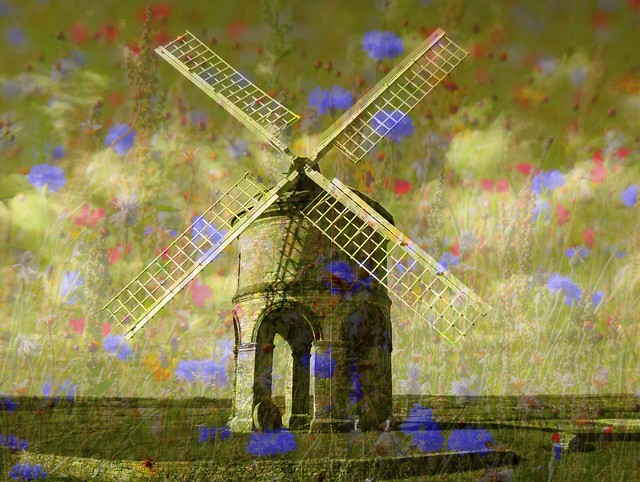 Windmills of my Mind