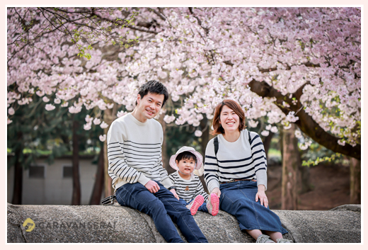 名古屋の山崎川付近でファミリーフォト　満開の桜