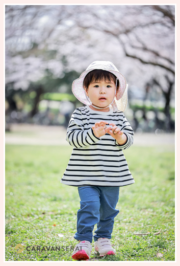 桜満開の公園であそぶ小さな女の子