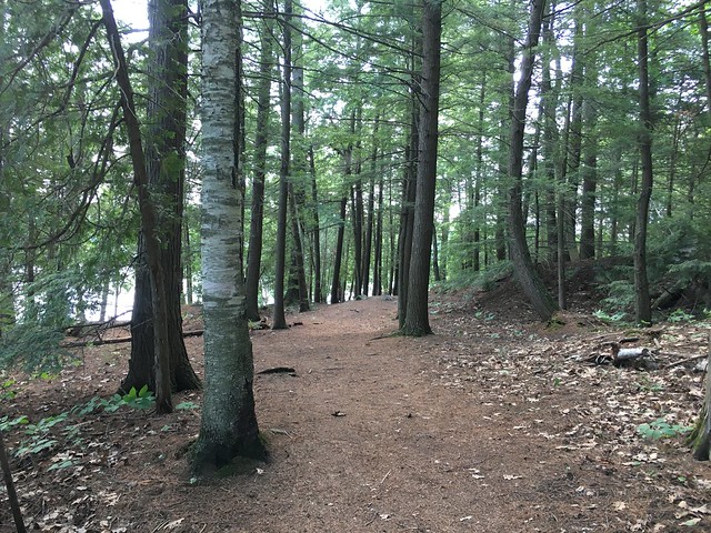 “Beautiful trail through the woods in Silent Lake Provincial Park , Martin’s photographs , Bancroft , Ontario , Canada , July 5. 2021”