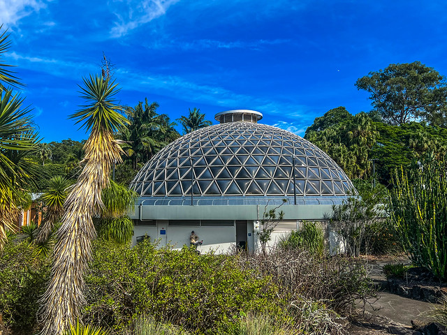 Tropical dome