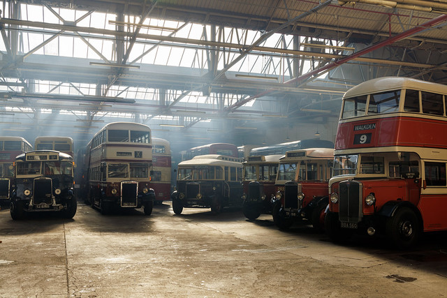 Gorillas in the mist? No, buses in the smoke