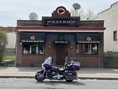 Purple at the Bear