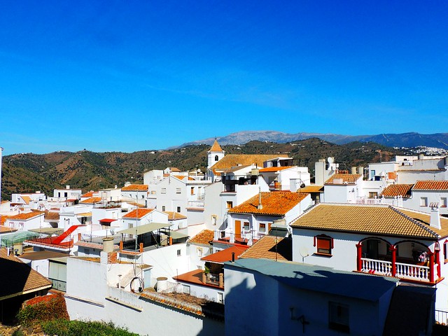 <Casco urbano> Sayalonga (Málaga)
