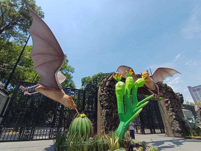 Murciélagos gigantes en Chapultepec