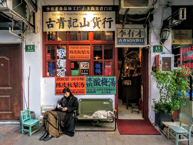 A girl and a cat in front of a Chinese pickled food and moutain products shop