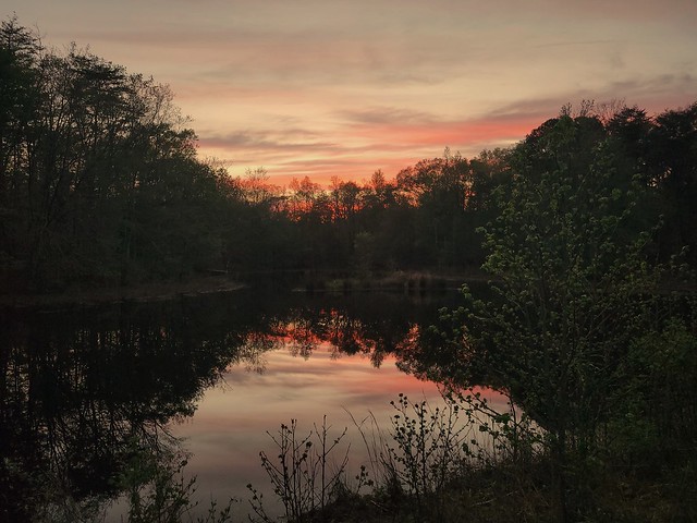 Goose Pond Sunset