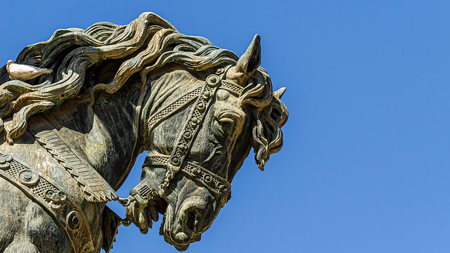 Close Up - Horse Figure - The Monument  of King James I (Plaza D'Alfons el Magnanimo - Valencia) (Monochrome) (OM-1 & Panasonic Lumix 35-100mm f2.8 Zoom Lens) (1 of 1)