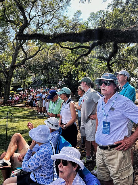 Spectators under live oak tree