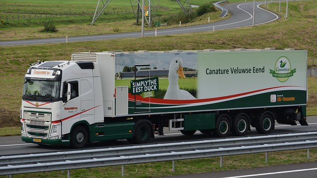 NL - Tomassen >Canature< Volvo FH04 460 GL