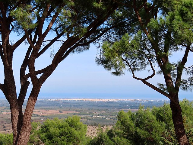 Plains of Apulia