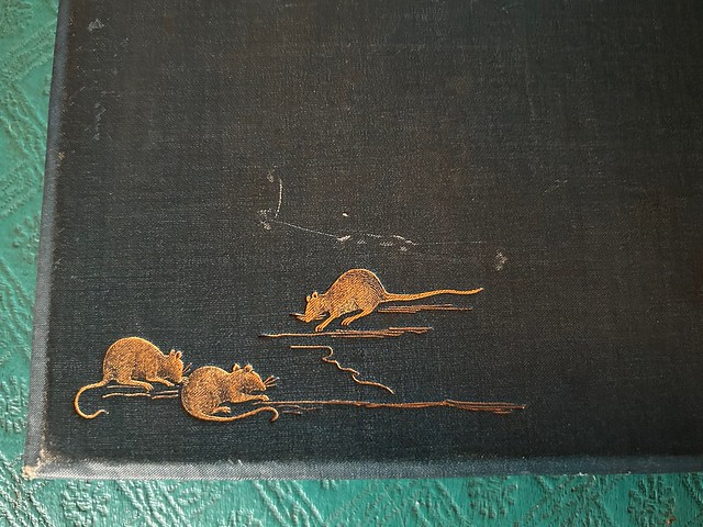 Rats and shadow of owl on a branch on the back of a Mother Goose book