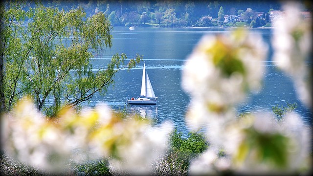 Spring! (Lake Constance, Germany)
