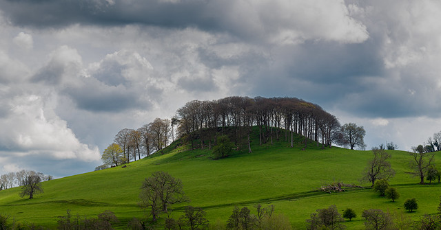 Peak Tor near Rowsley, Derbyshire