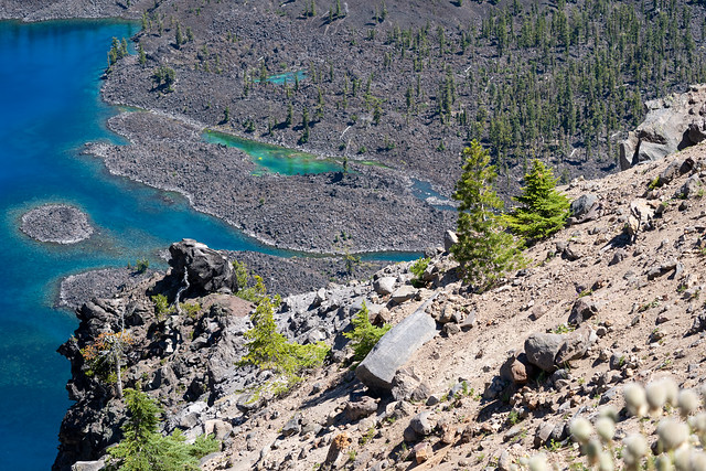 Shores of steep rock, lava and small pine trees of Crater Lake National Park Oregon